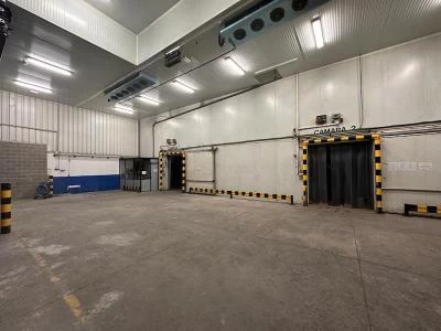 Miniatura de Nave industrial con cámaras de congelación en Arrigorriaga